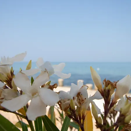 New! Beachfront With Seaview - Ta Leut Agency *
