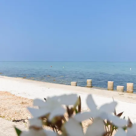 New! Beachfront With Seaview - Ta Leut Agency Appartement *