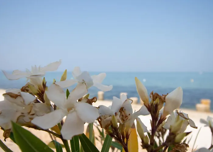 New! Beachfront With Seaview - Ta Leut Agency *